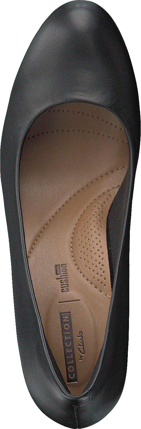 Adriel Viola Black Leather
