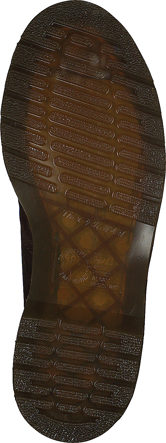 1461 Tan