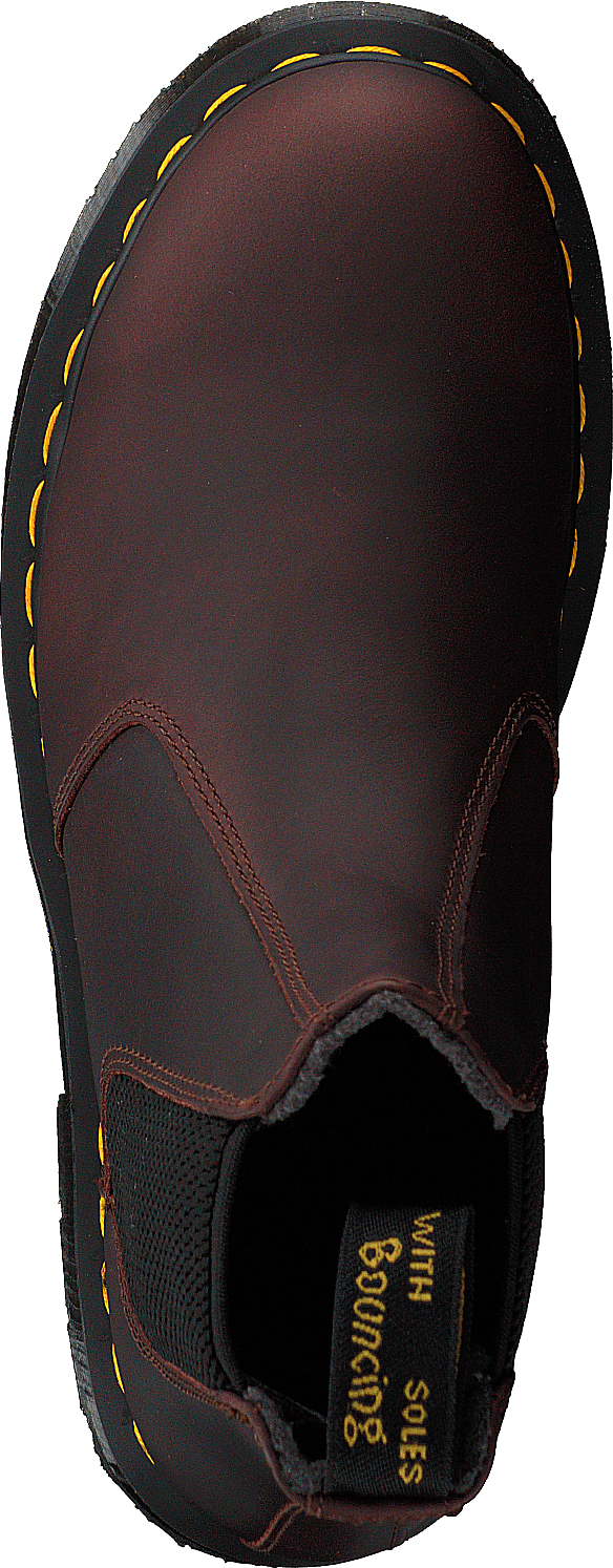 2976 Cocoa
