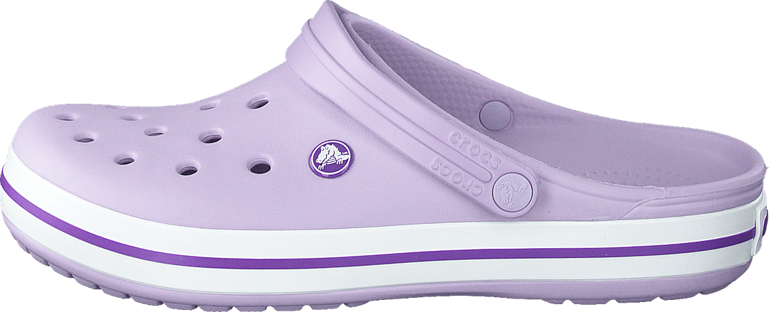 Crocband Lavanda/Púrpura
