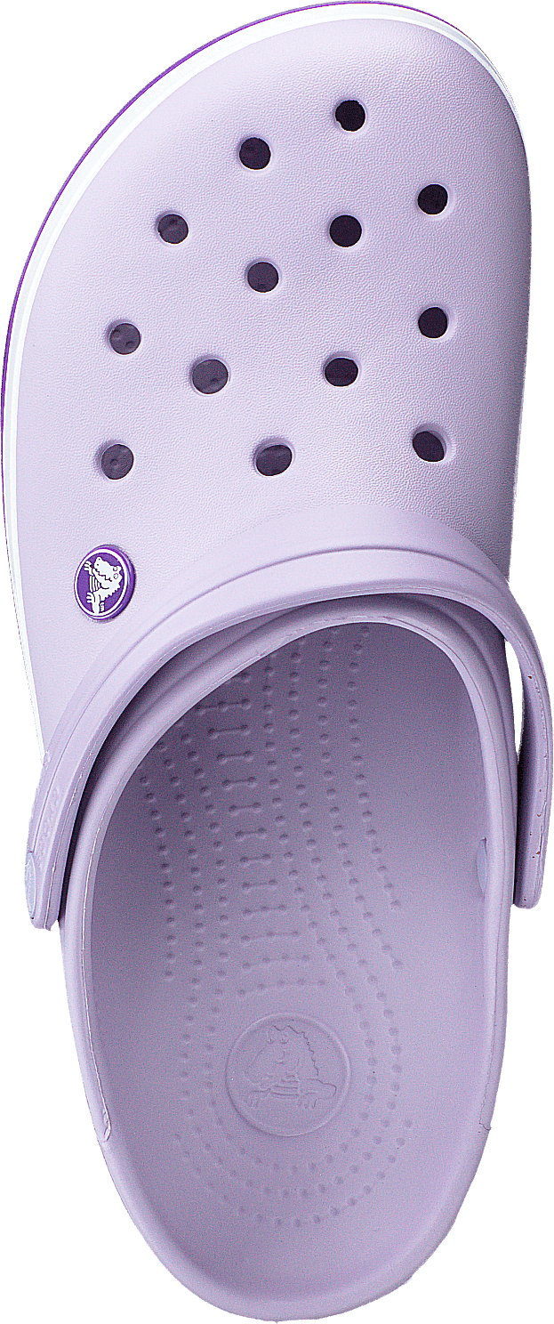Crocband Lavanda/Púrpura