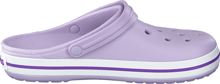Crocband Lavanda/Púrpura
