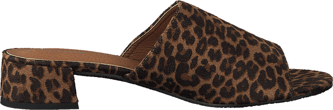 97-00704 Marron/multicolore