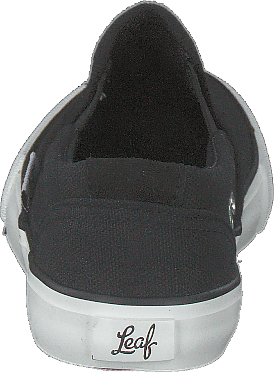 Kaby Black