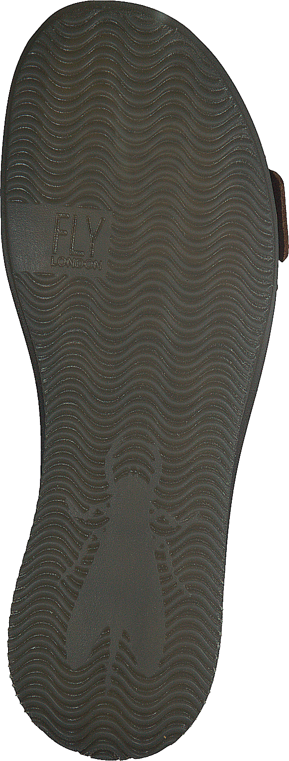Comb230fly träns Camel
