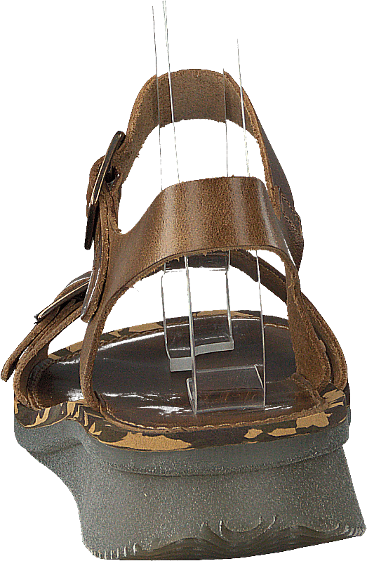 Comb230fly träns Camel