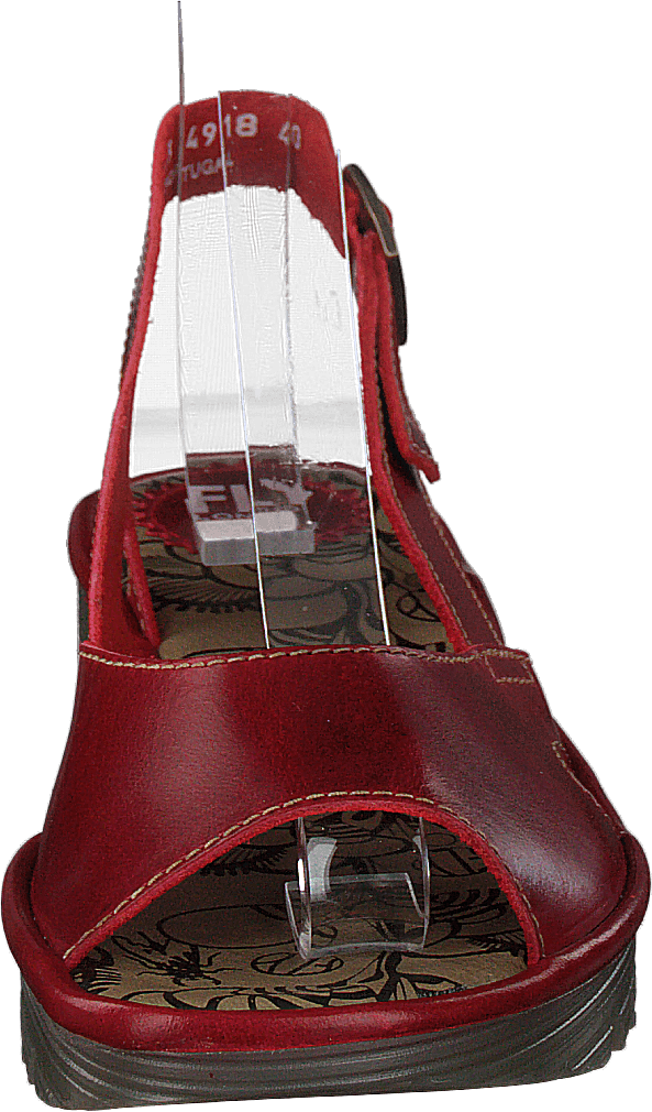 Edon034 Bridle Red