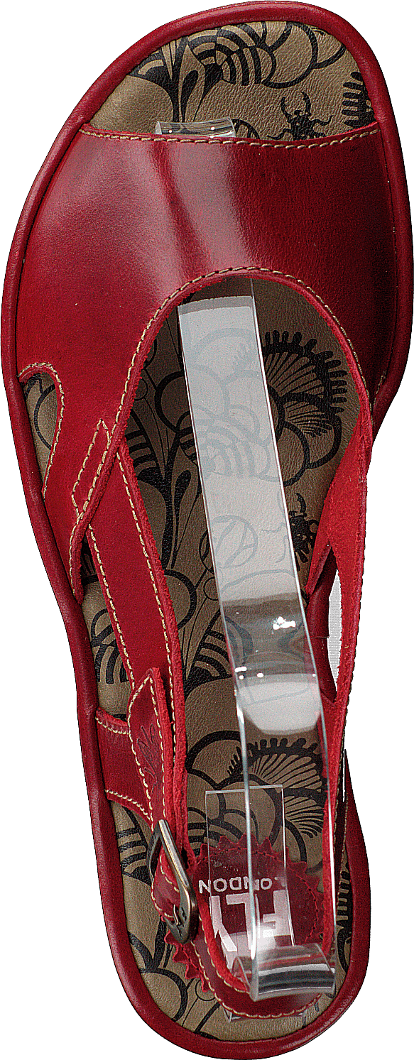 Edon034 Bridle Red