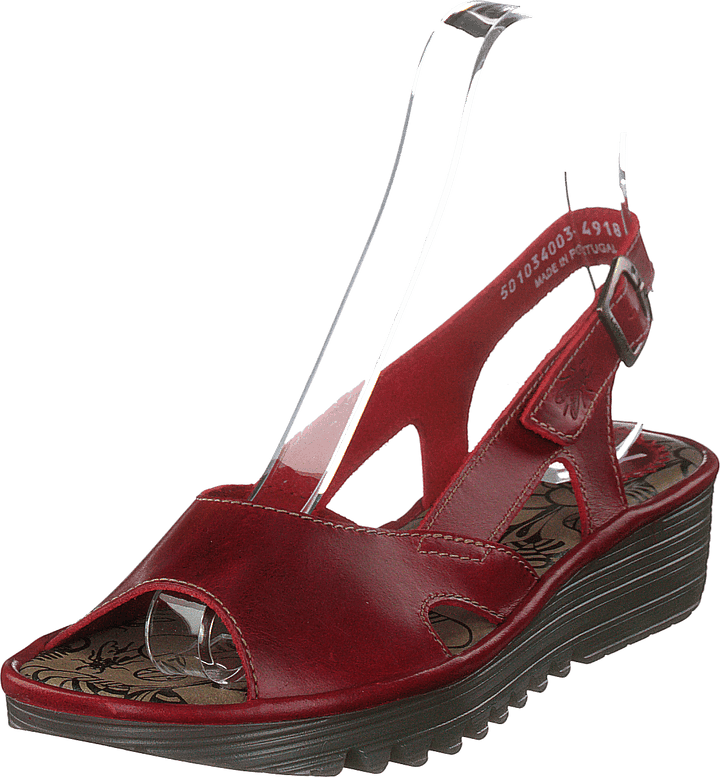Edon034 Bridle Red