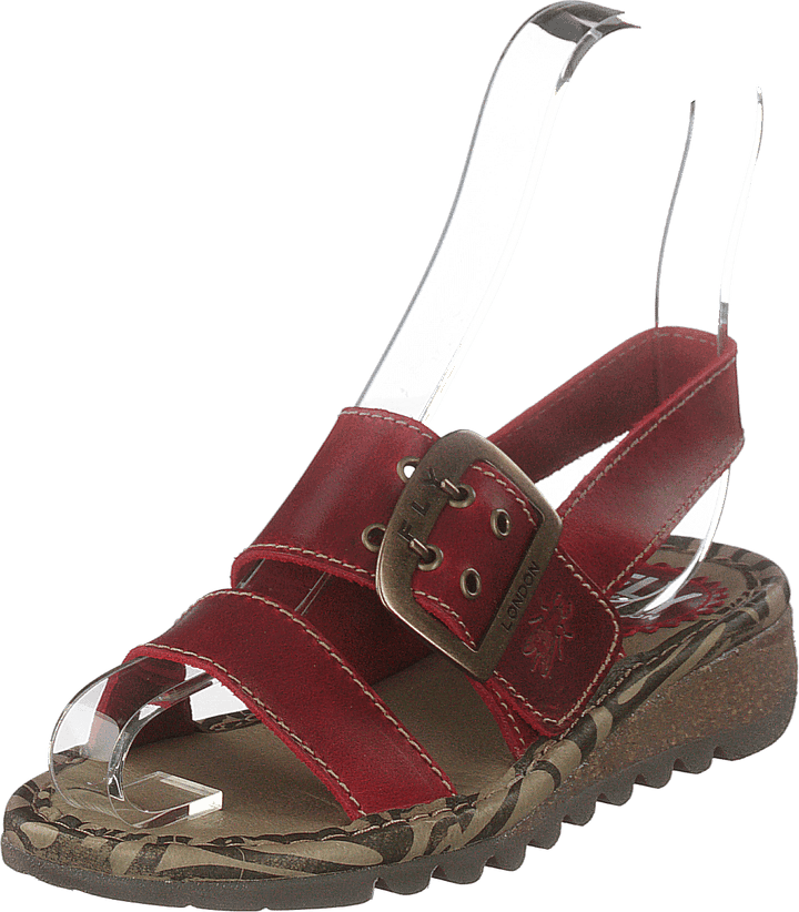 Tapi K Bridle Red