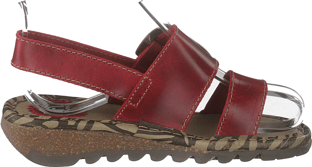 Tapi K Bridle Red