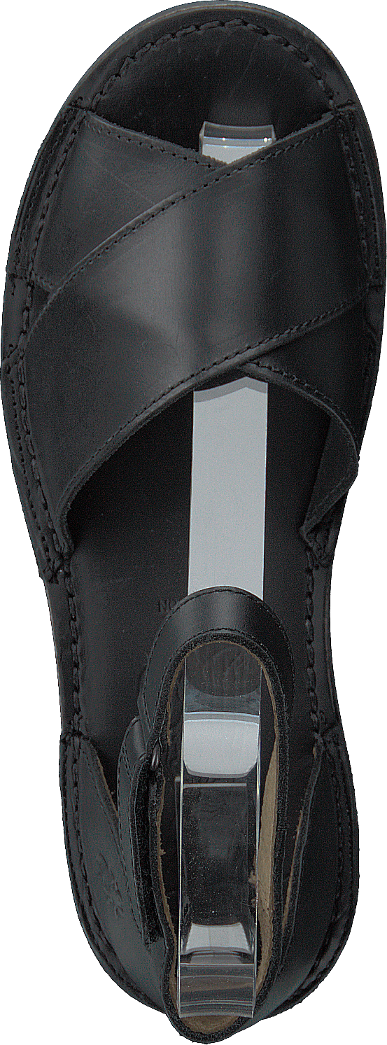 Fiol475fly Bridle czarny/czarny