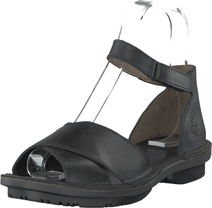 Fiol475fly Bridle czarny/czarny