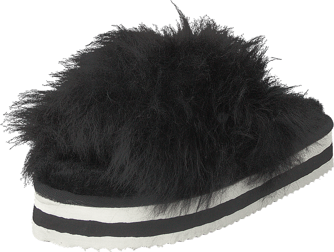Lilly Black