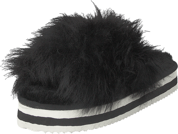 Lilly Black