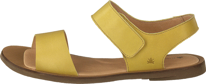 Tulip Ibón Mustard
