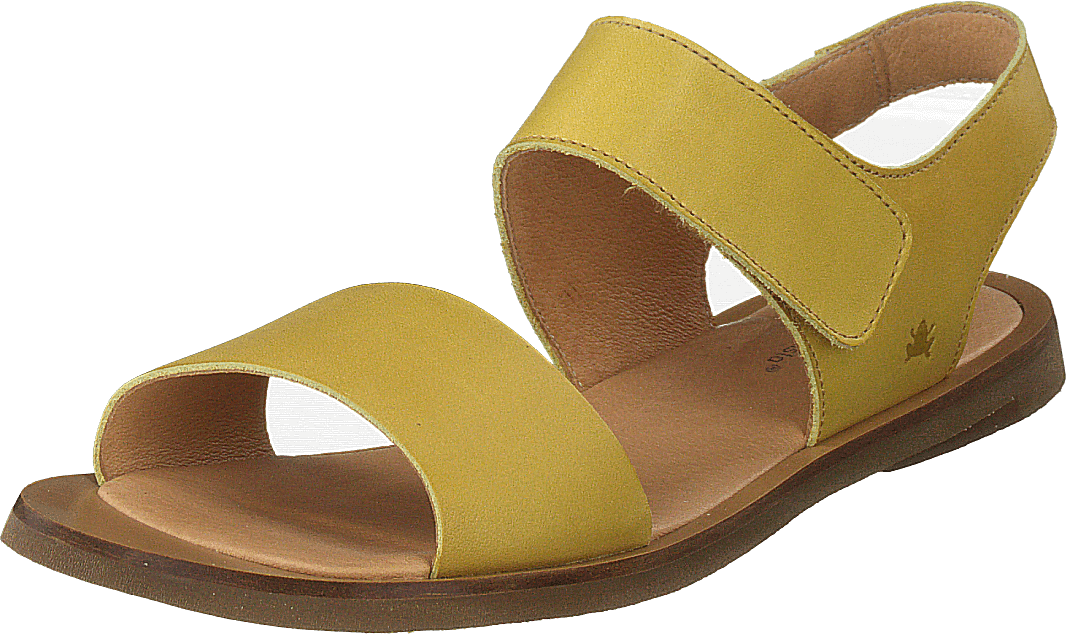 Tulip Ibón Mustard