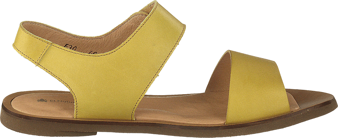 Tulip Ibón Mustard