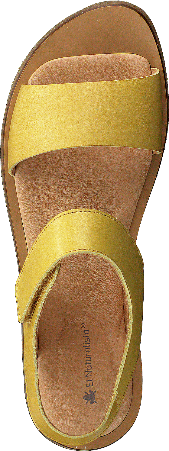 Tulip Ibón Mustard