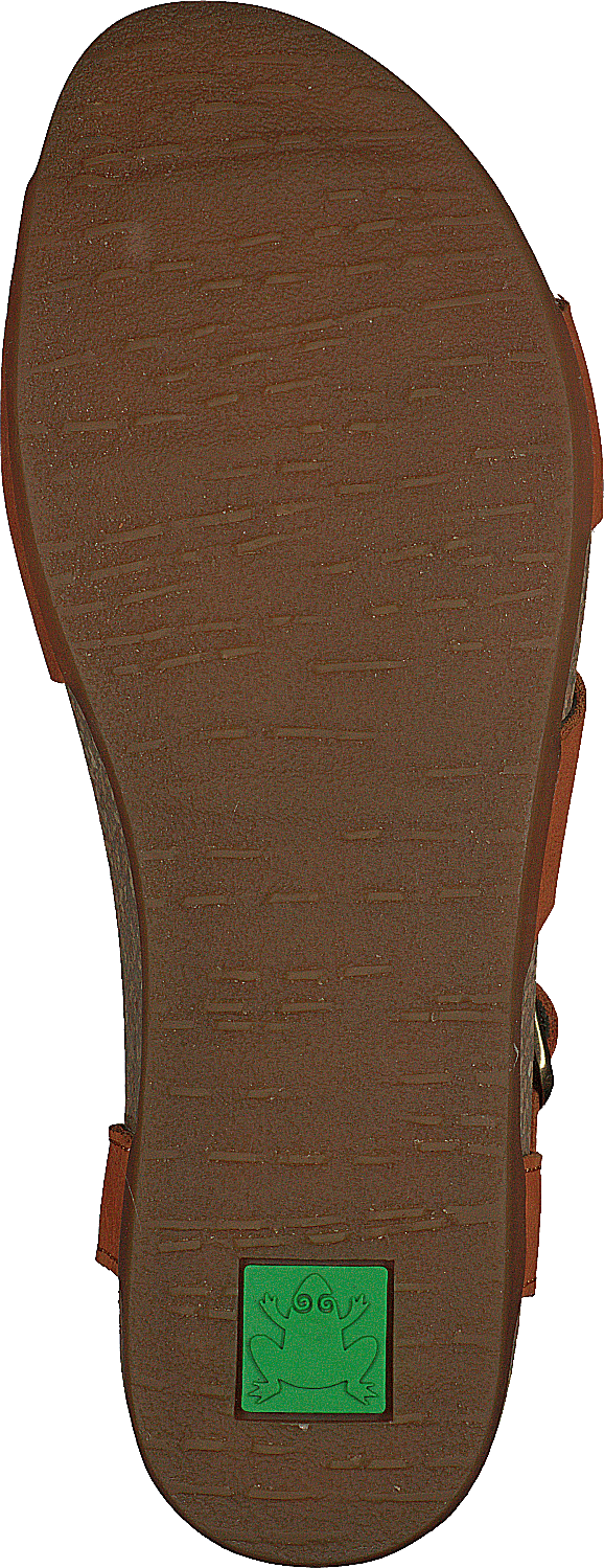 Zumaia Carrot