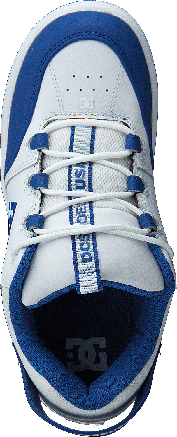 Syntax White/royal