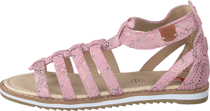 Guss Pink