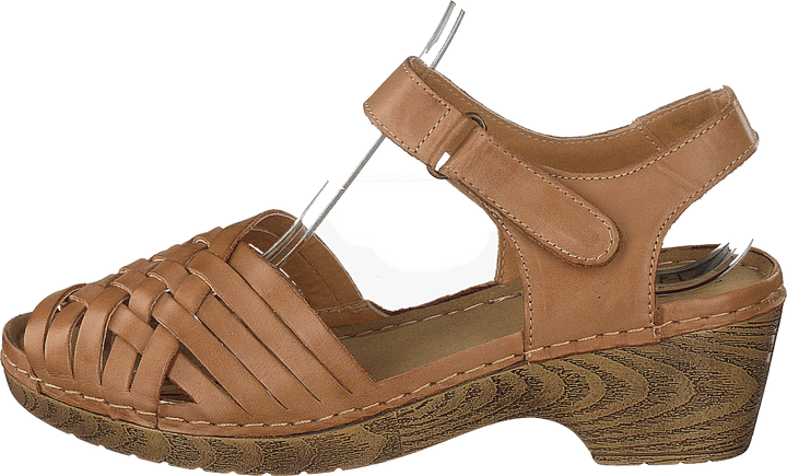 444-1031 Cognac