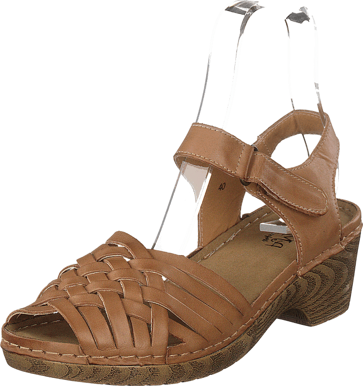 444-1031 Cognac