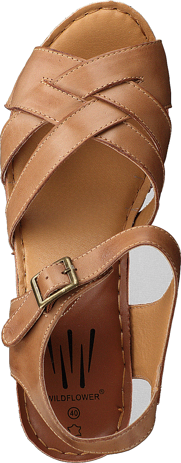 Templer Ruskea/tan