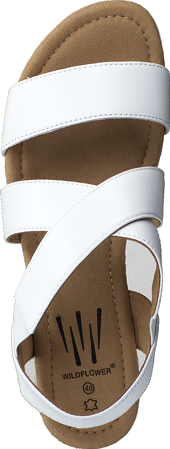 Cuesta White