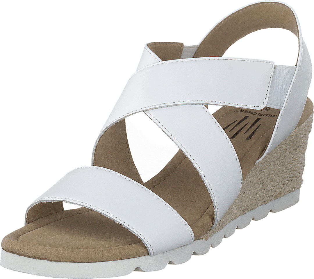 Cuesta White