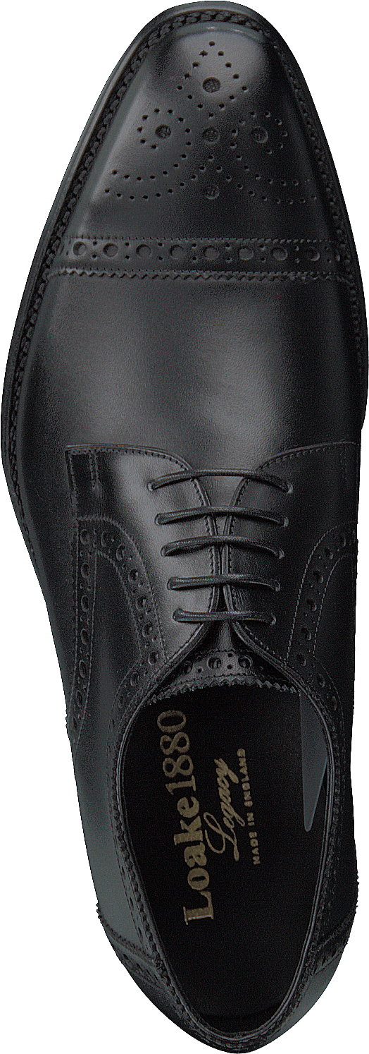 Vitello nero Derwent