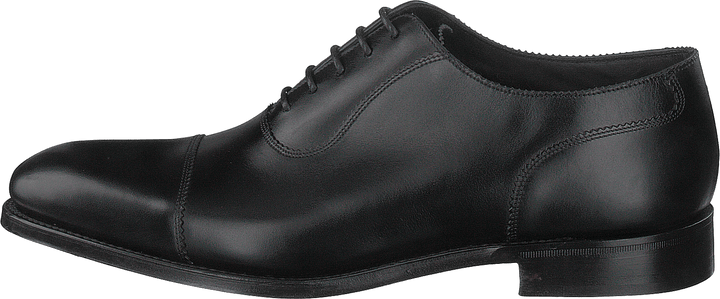 Evans Black