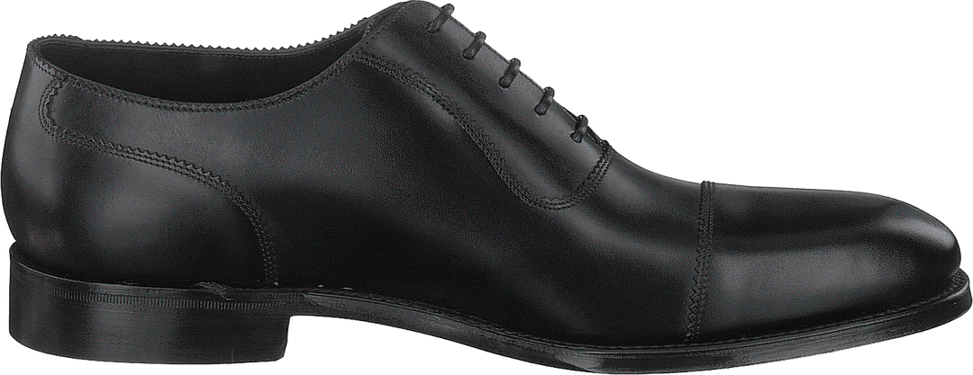 Evans Black