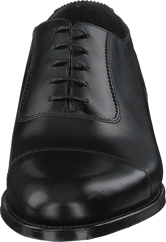 Evans Black