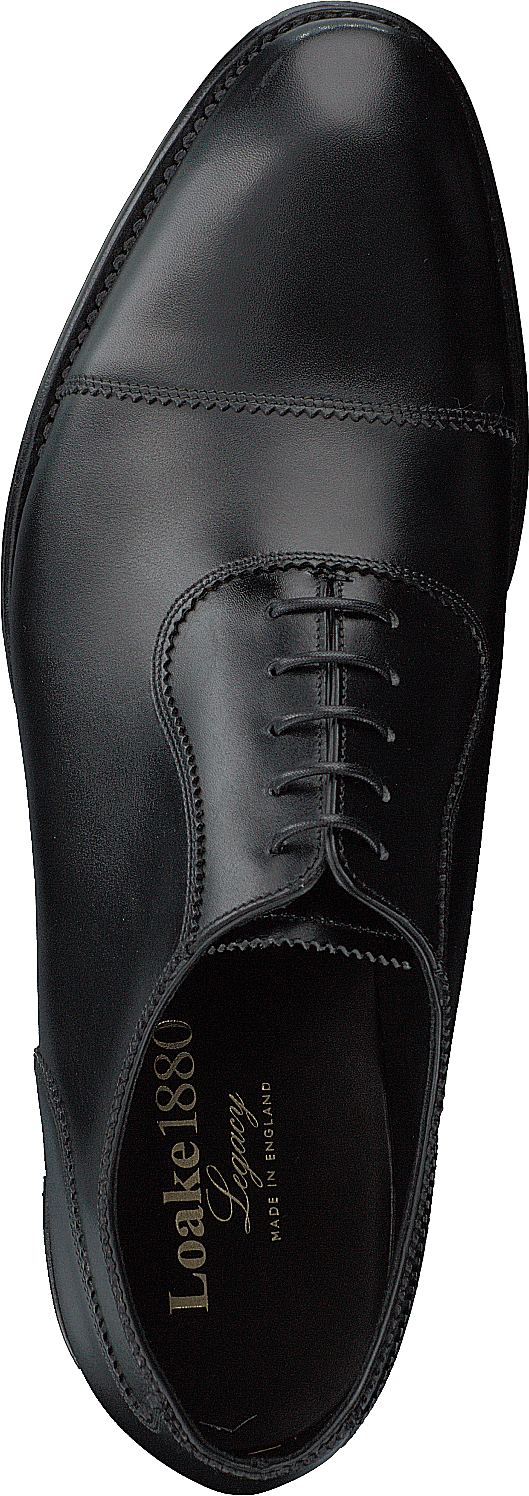 Evans Black