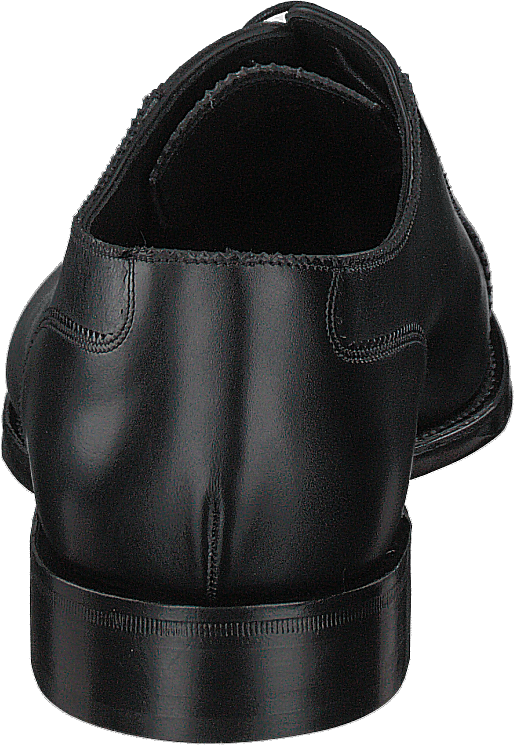 Evans Black