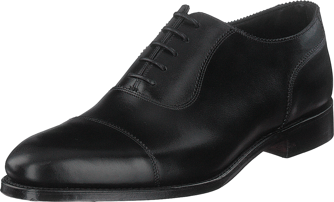 Evans Black