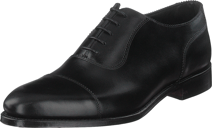 Evans Black