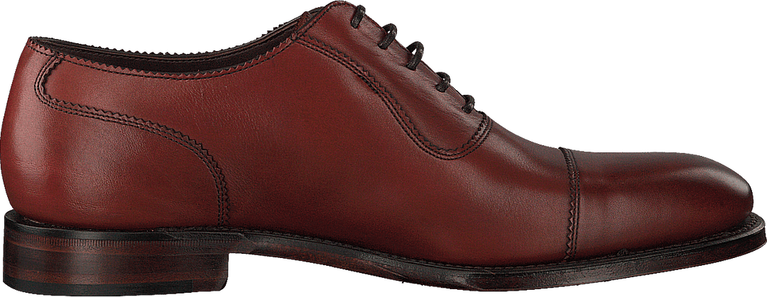 Evans Conker Brown