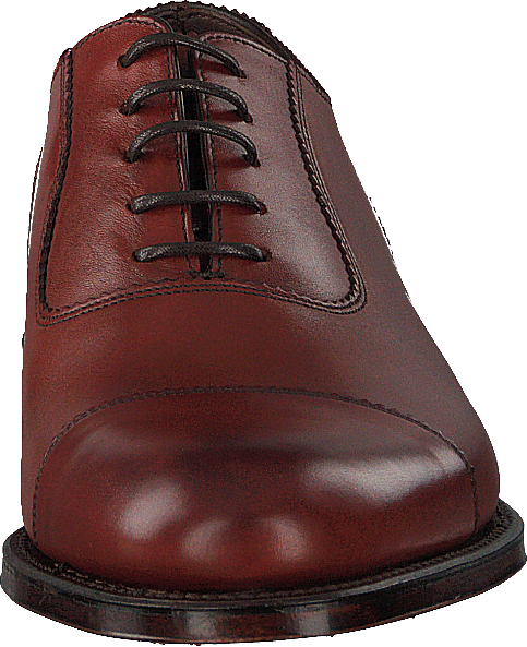 Evans Conker Brown