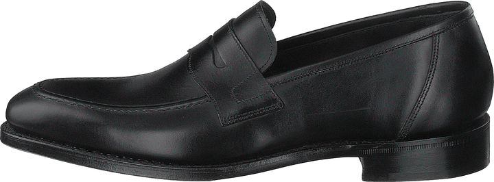 Anson Schwarzes Kalb