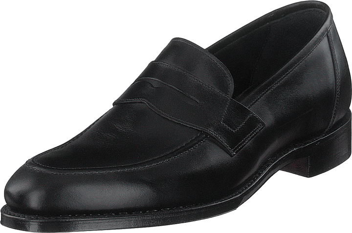 Anson Schwarzes Kalb