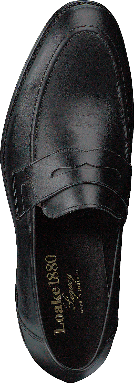 Anson Schwarzes Kalb