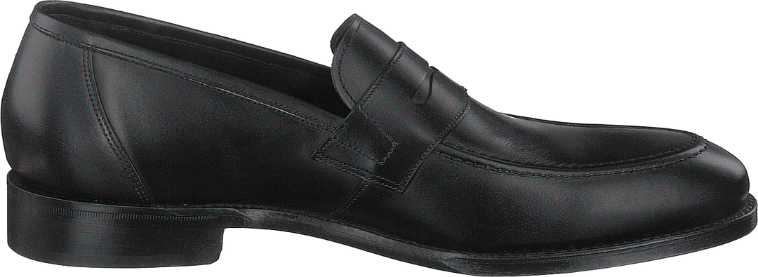 Anson Schwarzes Kalb