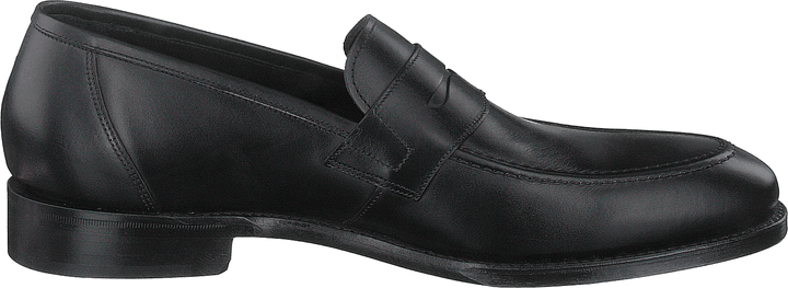 Anson Schwarzes Kalb