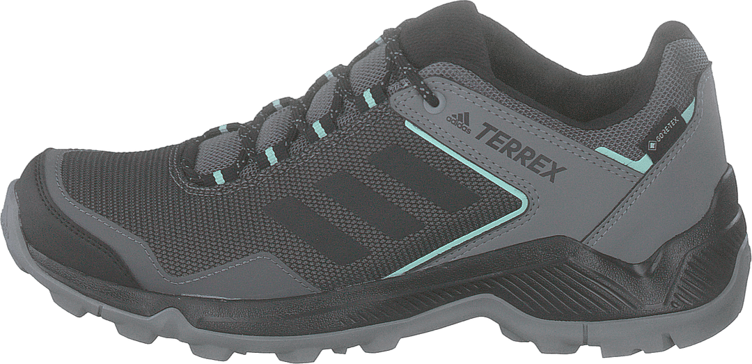 Terrex Entry Hiker Gtx W Grefou/cblack/clemin
