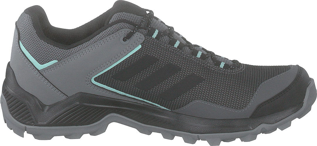 Terrex Entry Hiker Gtx W Grefou/cblack/clemin