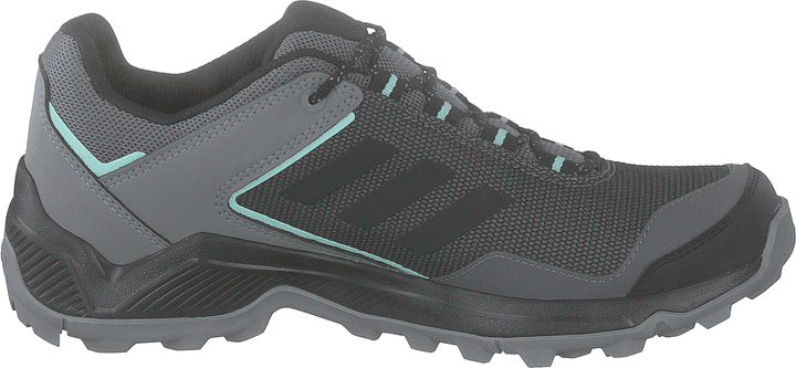 Terrex Entry Hiker Gtx W Grefou/cblack/clemin