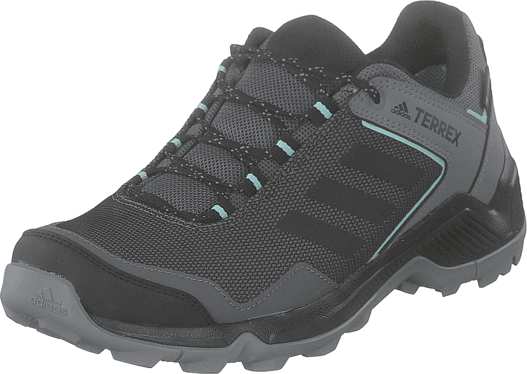 Terrex Entry Hiker Gtx W Grefou/cblack/clemin